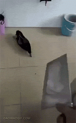 妹纸：睡前摇一摇，睡觉才会香